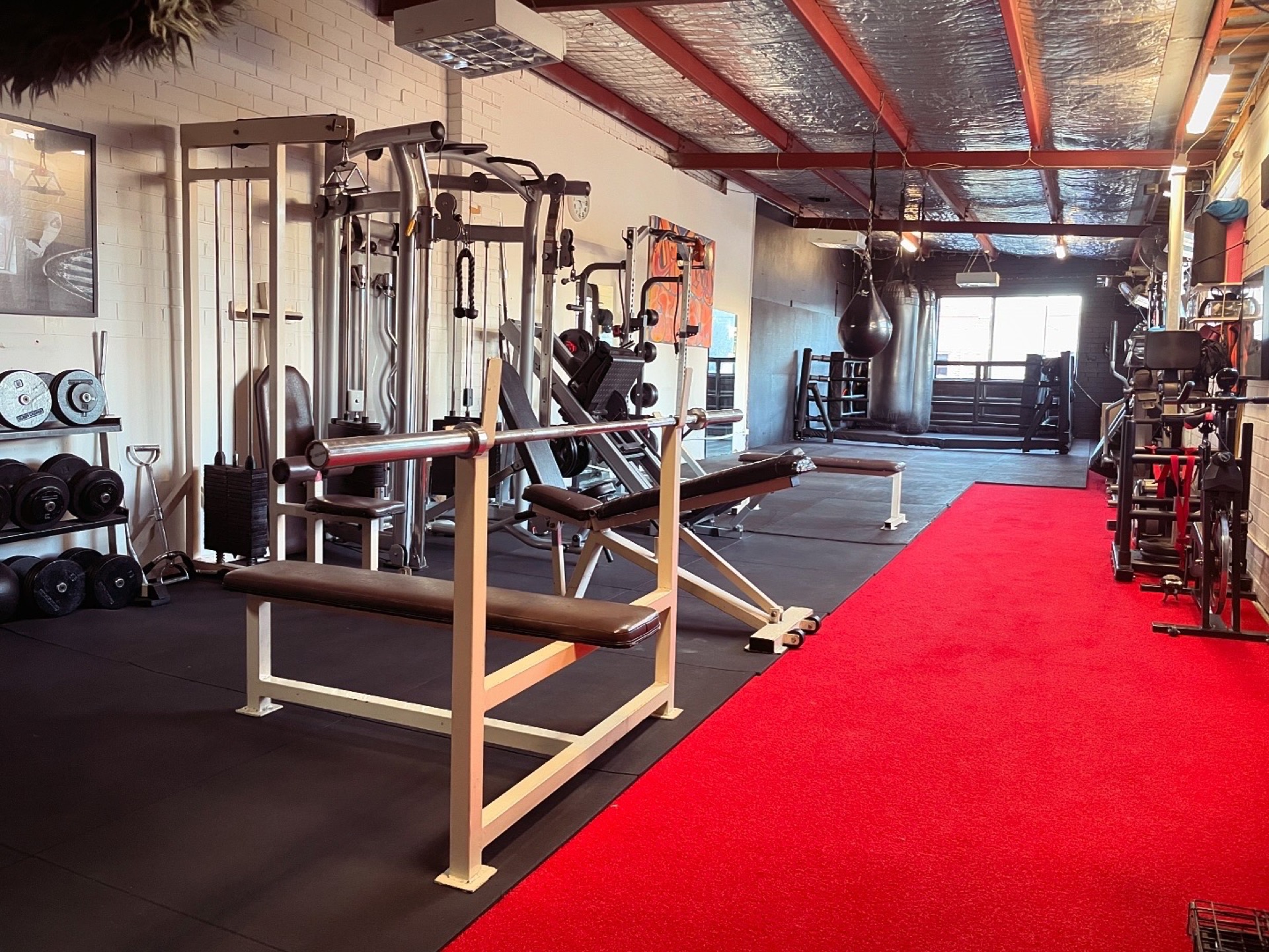 The Guild boxing gym with ring, heavy bags, and training equipment