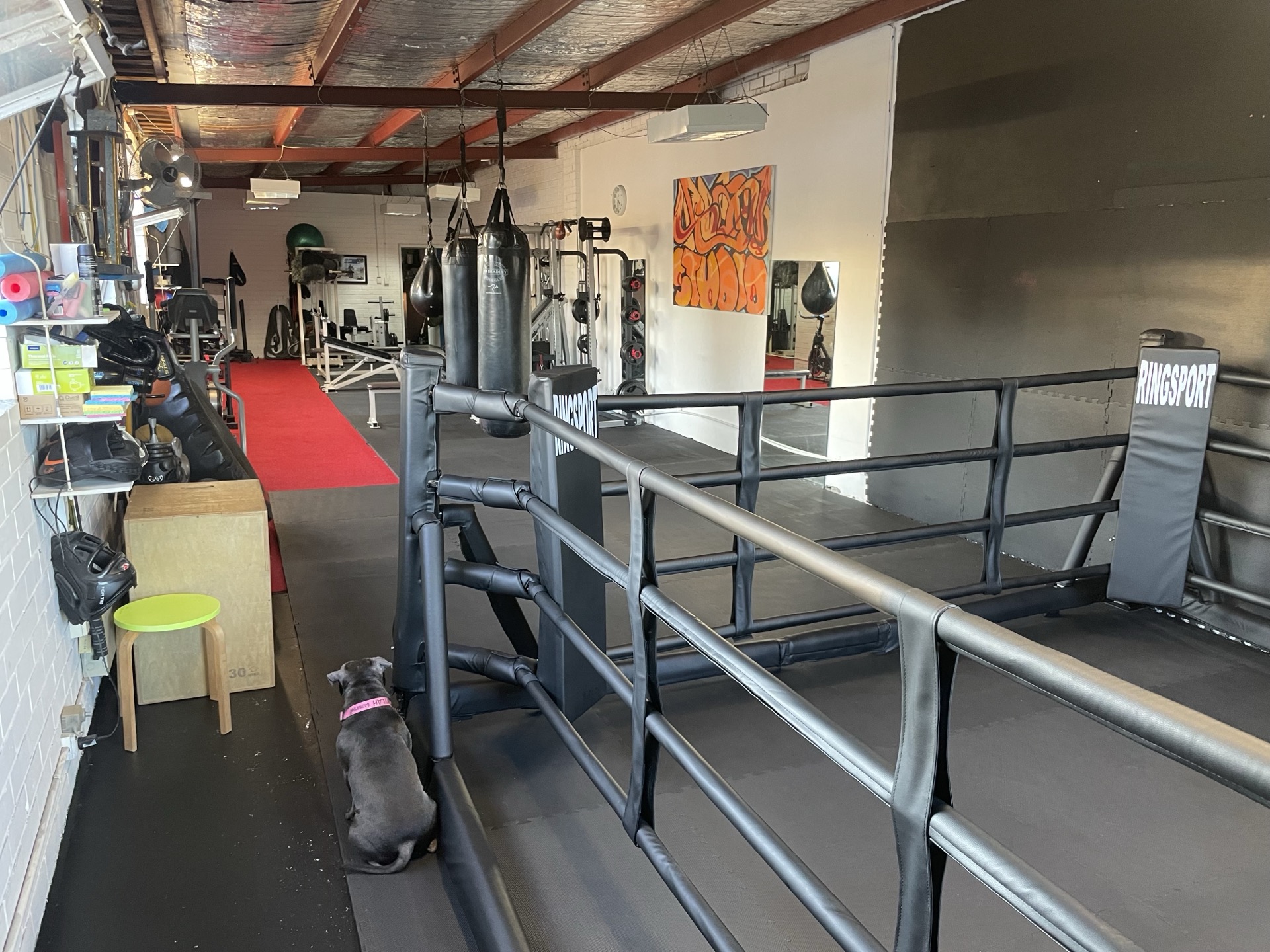 Boxing ring and training area at The Guild